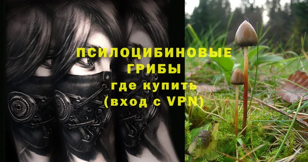 стафф Баксан
