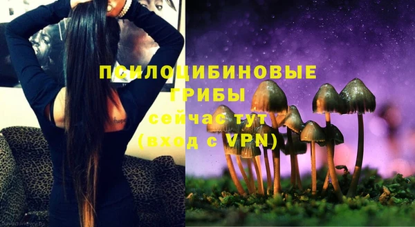 стафф Баксан