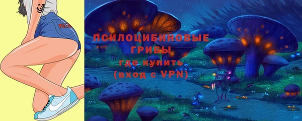 стафф Баксан